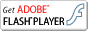 Flash Player�v���O�C��