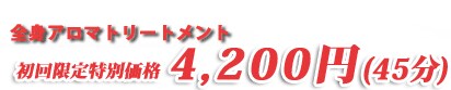 �S�g�A���}�g���[�g�����g ���������ʉ��i4,200�~