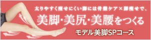 �t�F�C�X���t��SP