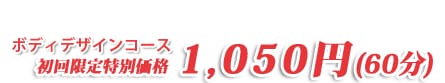 �{�f�B�f�U�C���R�[�X ���������ʉ��i1050�~