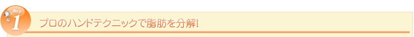 Step1 �v���̃n���h�e�N�j�b�N�Ŏ��b�𕪉��I