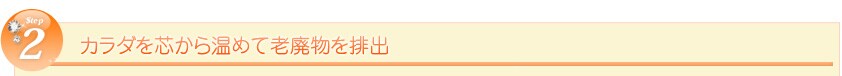 Step2 �J���_��c���牷�߂ĘV�p����r�o