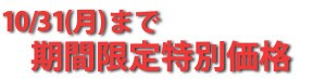 3/31(��)�܂� ���Ԍ�����ʉ��i