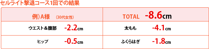 �Z�����C�g���ރR�[�X1��ł̌���