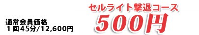 �Z�����C�g�W���R�[�X�������y60���z 500�~(�ō�)