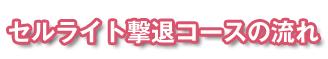 セルライト撃退コースの流れ