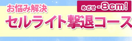 お悩み解決 セルライト撃退コース