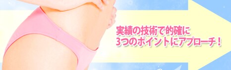 実績の技術で的確に3つのポイントにアプローチ!