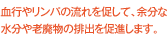 ���s�⃊���p�̗���𑣂��āA�]���Ȑ�����V�p���̔r�o�𑣐i���܂��B