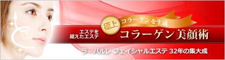 �R���[�Q������p�@���E�p���� �t�F�C�V�����G�X�e 32�N�̏W�听