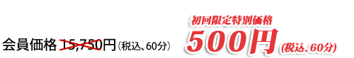 ���f�����rSP�R�[�X ���������ʉ��i500�~