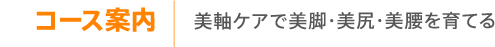 �R�[�X�ē��@�����P�A�Ŕ��r�E���K�E��������Ă�