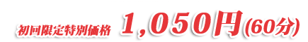 ���b�R�ăR�[�X ���������ʉ��i500�~
