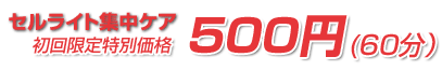 �Z�����C�g�W���P�A ���������ʉ��i500�~