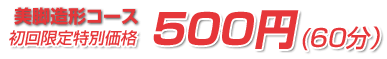 ���r���`�R�[�X ���������ʉ��i500�~