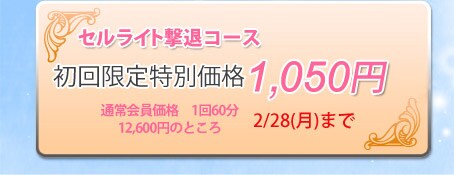 �Z�����C�g�W���R�[�X�@�̌��ҕ�W���@�ʏ������i1��60��12,600�~�̂Ƃ��남����60��500�~�i�ō��j