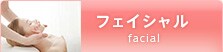 �t�F�C�V����