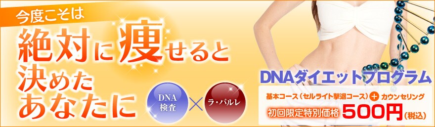 ���x�����͐�΂ɑ�����ƌ��߂����Ȃ��Ɂ@DNA�_�C�G�b�g�v���O����