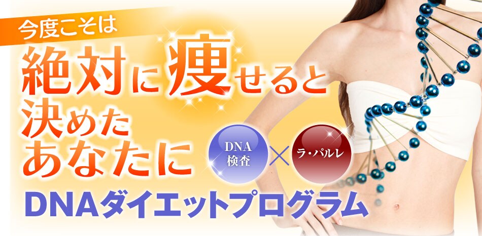 ���x�����͐�΂ɑ�����ƌ��߂����Ȃ���
DNA�_�C�G�b�g�v���O����