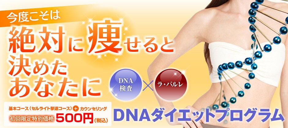 ���x�����͐�΂ɑ�����ƌ��߂����Ȃ���
DNA�_�C�G�b�g�v���O����