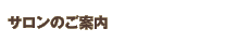 �T�����̂��ē�