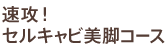 ���b�R��SP�R�[�X