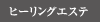 �q�[�����O�G�X�e