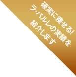 �m���ɑ�����I
���E�p�����̎��т�
�Љ�܂�