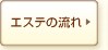�G�X�e�̗���