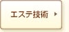 �G�X�e�Z�p
