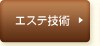�G�X�e�Z�p