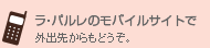 ���E�p�����̃��o�C���T�C�g�ŊO�o�悩����ǂ����B