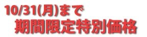 3/31(��)�܂� ���Ԍ�����ʉ��i