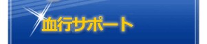 ���s���i�T�|�[�g