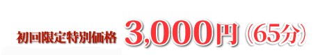 ���������ʉ��i500�~