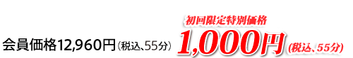 �j�L�r���O�R�[�X�@���������ʉ��i1,050�~