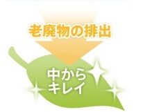 �V�p���̔r�o ������L���C