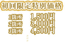 初回限定特別価格
1箇所 1,500円
2箇所 3,000円
3箇所 4,500円…