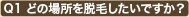 Q1 �ǂ̏ꏊ��E�т������ł����H