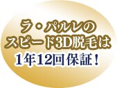 ラ・パルレの
スピード3D脱毛は1年12回保証!