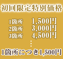 初回限定特別価格
1箇所 1,500円
2箇所 3,000円
3箇所 4,500円…
1箇所につき1,500円