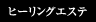 �q�[�����O�G�X�e