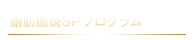 ���b�R��SP�v���O����