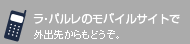 ���E�p�����̃��o�C���T�C�g�ŊO�o�悩����ǂ����B