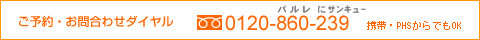 ���\��E���⍇�킹�_�C���� 0120-860-239 �g�сEPHS����ł�OK