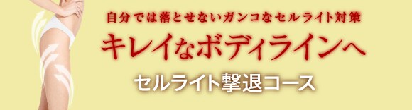 お悩み解決セルライト撃退コース