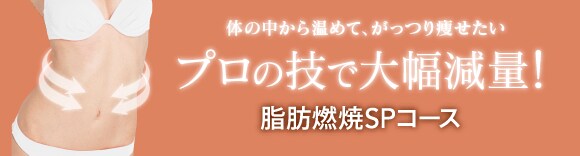 美脚なら、ら・パルレモデル美脚SPコース
