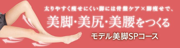 脂肪燃焼コース
