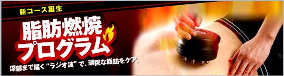 脂肪燃焼プログラム