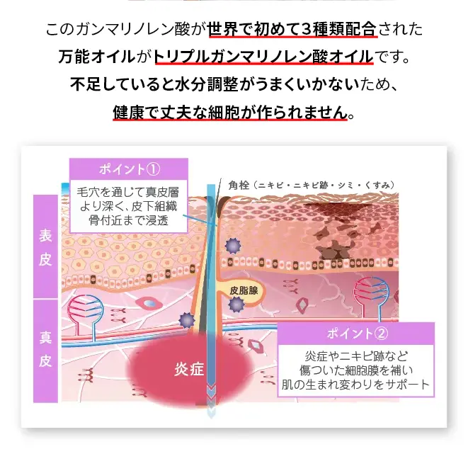 このガンマリノレン酸が世界で初めて３種類配合された万能オイルがトリプルガンマリノレン酸オイルです。
不足していると水分調整がうまくいかないため、健康で丈夫な細胞が作られません。